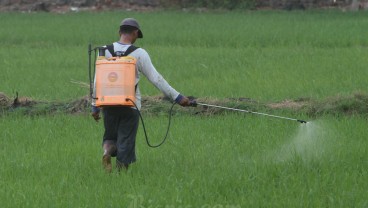 Penyerapan Gabah di Sumsel Hingga April Sudah 81.000 Ton