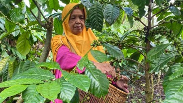 Nilai Tukar Petani di Sumsel Merosot 7,12% pada April 2025