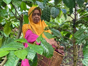 Nilai Tukar Petani di Sumsel Merosot 7,12% pada April 2025