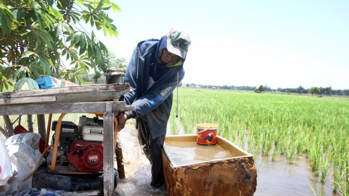 Potensi Produksi Beras RI Tembus 18,76 Juta Ton Semester I/2025, Ini Sebarannya