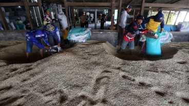 BPS: Harga Beras Premium-Medium Turun di Penggilingan pada April 2025