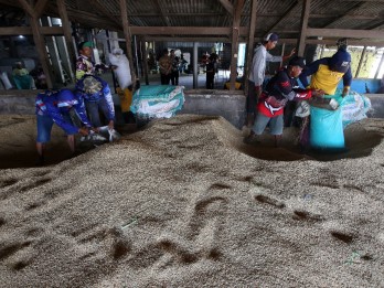 BPS: Harga Beras Premium-Medium Turun di Penggilingan pada April 2025