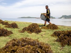 Ekonomi Sumbar Tumbuh 4,66% pada Kuartal I/2025