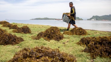 Ekonomi Sumbar Tumbuh 4,66% pada Kuartal I/2025