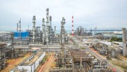 Jalan Panjang Pemulihan Emiten Prajogo Pangestu (TPIA) Saat Petrokimia Lesu