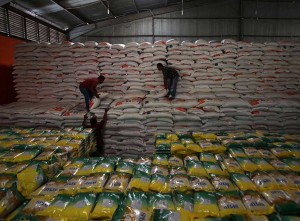 Perum Bulog Aceh Telah Menyerap 91.515 Ton Gabah Kering Panen Petani