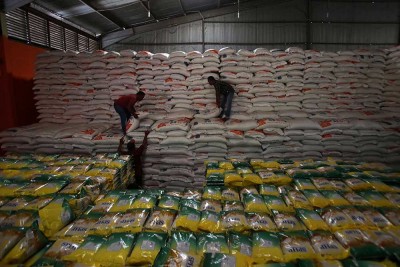Perum Bulog Aceh Telah Menyerap 91.515 Ton Gabah Kering Panen Petani