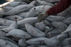BPS Mencatat Perekonomian Indonesia Pada Triwulan I/2025 Tumbuh 4,87%