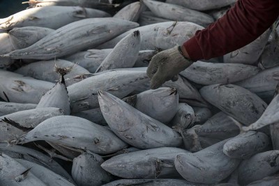 BPS Mencatat Perekonomian Indonesia Pada Triwulan I/2025 Tumbuh 4,87%