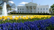 Trump Mau Tarif 100% untuk Film Asing, Gedung Putih Bilang Begini