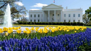 Trump Mau Tarif 100% untuk Film Asing, Gedung Putih Bilang Begini