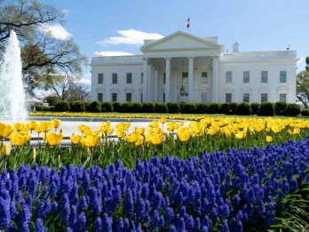 Trump Mau Tarif 100% untuk Film Asing, Gedung Putih Bilang Begini