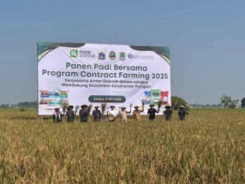 Jaga Pasokan Beras, Pemprov Jakarta Gandeng Karawang untuk Produksi Padi
