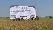 Jaga Pasokan Beras, Pemprov Jakarta Gandeng Karawang untuk Produksi Padi