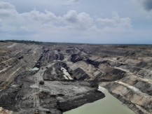Beda Nasib Emiten Emas, ANTM Cs dan Emiten Batu Bara, AADI Cs