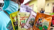 Hotel Candi Siap Terima Guyuran Dividen Sido Muncul (SIDO) Rp488,84 Miliar