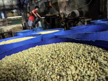Pemerintah Bantu Kembangkan Sektor Pertanian Kedelai di Kuningan