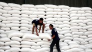 Stok Beras Tembus 3,5 Juta Ton, Bulog Sewa Gudang BUMN-TNI
