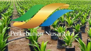Holding Perkebunan PTPN Catat Laba Bersih Melejit 1.032%
