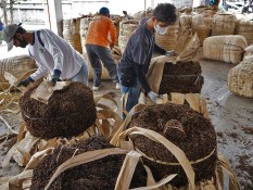 Jawa Tengah Tawarkan 13 Proyek Investasi Clean & Clear