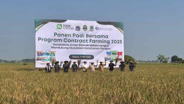 Pemprov Jakarta Targetkan 8.000 Hektar Lahan Contract Farming Selama 2025