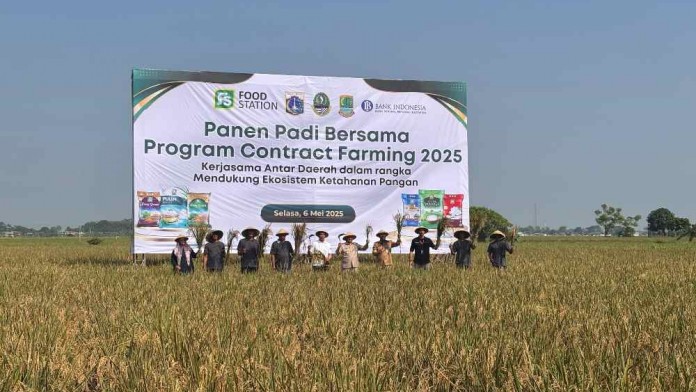Pemprov Jakarta Targetkan 8.000 Hektar Lahan Contract Farming Selama 2025