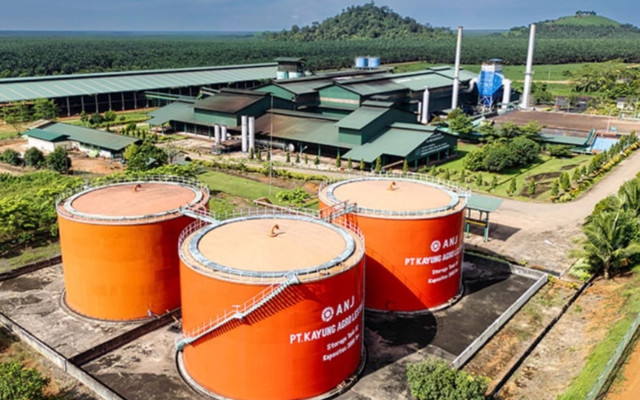 First Resources Tuntas Akuisisi ANJT, Saham Lo Kheng Hong Bakal Berpindah Tangan ke Ciliandra