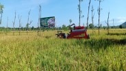 NTB Targetkan Cetak Sawah Baru untuk Wujudkan Ketahanan Pangan