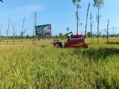 NTB Targetkan Cetak Sawah Baru untuk Wujudkan Ketahanan Pangan