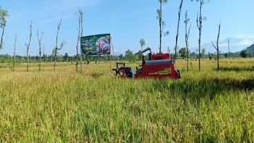 NTB Targetkan Cetak Sawah Baru untuk Wujudkan Ketahanan Pangan