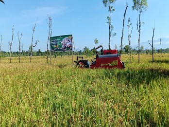 NTB Targetkan Cetak Sawah Baru untuk Wujudkan Ketahanan Pangan