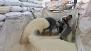 Harga Gabah Kering Giling (GKG) Segera Diatur, Harga Beras Bakal Naik?