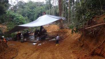 Studi Kelayakan Tuntas, Beruang Kanan Masuk Fase Pengembangan
