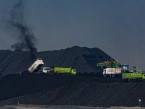 Diverging Paths: Gold Issuers like ANTM vs. Coal Players like AADI