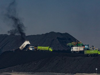 Diverging Paths: Gold Issuers like ANTM vs. Coal Players like AADI