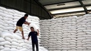 Biaya Operasional Bulog Diklaim Tak Terdampak Penetapan HPP GKG