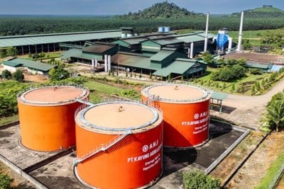 First Resources Acquires Austindo Nusantara Jaya (ANJT)