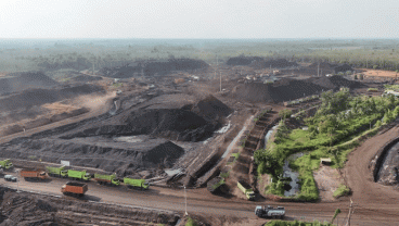 PT Servo Lintas Raya Kurangi Volume Batu Bara di Intermediate Stockpile KM 36