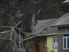 Kronologi Awal Pecahnya Perang India-Pakistan, Klaim karena Teroris