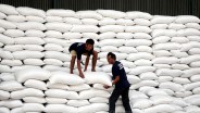 Stok Cadangan Beras Bulog Tembus 3,6 Juta Ton Awal Mei 2025