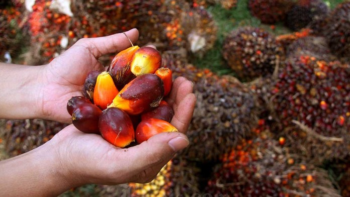 Sinar Mas Agro (SMAR) Berencana Masuk Bisnis Energi Terbarukan Bio CNG