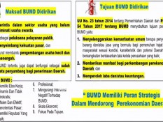 Usul Komisi II DPR, Bubarkan BUMD Rugi dan Membebani Keuangan Daerah