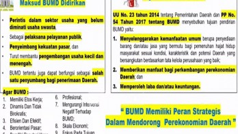 Usul Komisi II DPR, Bubarkan BUMD Rugi dan Membebani Keuangan Daerah