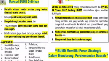 Usul Komisi II DPR, Bubarkan BUMD Rugi dan Membebani Keuangan Daerah