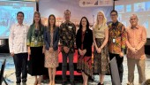 BRI-MI Gandeng UNEP, Jaring Pendanaan Proyek Iklim
