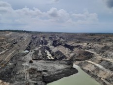 BlackRock Eyes BUMI Shares in 2025