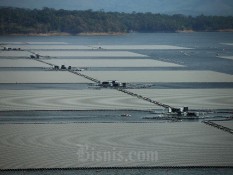 Nasib Rencana PLTS Terapung Singkarak dan Wajah Investasi Sumbar di Mata Dunia
