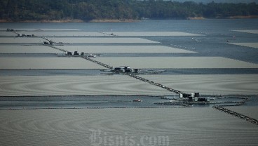 Nasib Rencana PLTS Terapung Singkarak dan Wajah Investasi Sumbar di Mata Dunia
