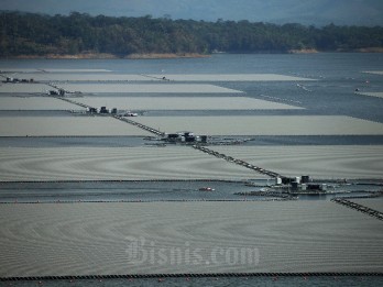 Nasib Rencana PLTS Terapung Singkarak dan Wajah Investasi Sumbar di Mata Dunia