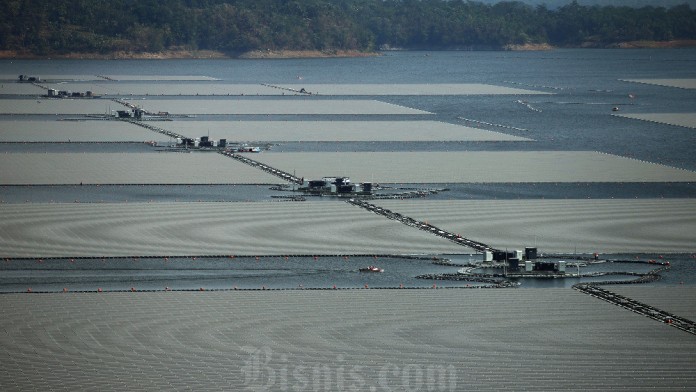 Nasib Rencana PLTS Terapung Singkarak dan Wajah Investasi Sumbar di Mata Dunia